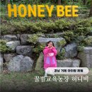 대신농장 | 경남 거제 아이랑 체험 꿀벌교육농장 허니비 벌만지기 꿀만들기 등 예약 방문 후기