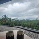 세나 | [발리 여행] 아비세나 웰니스 &amp; 리조트 우붓 투숙 후기