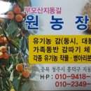 지동농장 이미지