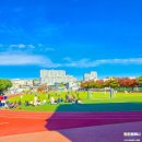 영천중앙초등학교 이미지