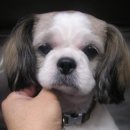 금광동물병원 이미지