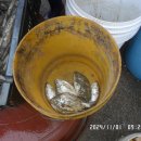 사포마을회관 이미지