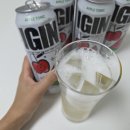 GS25신읍퍼스트점 | GS 편의점 하이볼 아이긴 달콤토닉 수박맛 후기