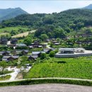 금산이네 이미지