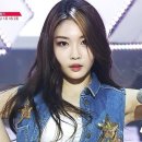 김청하 카카오 검색결과