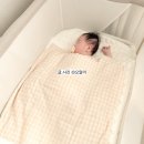 애니멀즈 | 잠 못자는 아기 등센서 탈출! 통잠 성공! (머미쿨쿨 좁쌀이불 올인원 ,애니멀즈 대형 솔직후기)