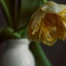 플로리스트 중고급 이미지