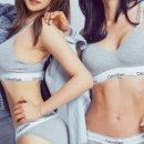 피티포유 이미지