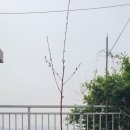 대석목장 이미지