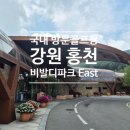 펠리체인터내셔널주