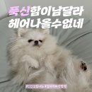 시루내민박 이미지