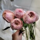 피어난곳 | 입학식 화이트데이 기념일 꽃선물 추천 피어난곳 이달의꽃후기