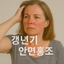 하루의 마무리 밸런스요가(야간) A | 갱년기 안면홍조 증상과 치료법 (+ 갱년기 안면홍조에 좋은 건강식품)
