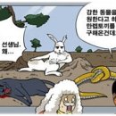 (주)마루세끼 이미지