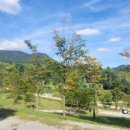 담양금성산성 오토캠핑장 이미지