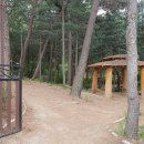 서울국유림관리소 이미지