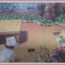 승진농장 이미지