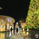 여주-1119 이미지