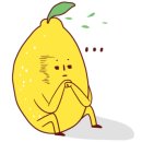 진보청과 이미지