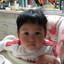 선녀농장 이미지