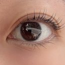 잠실스테이 | [송파/잠실/삼전동] 스테이미 - 속눈썹펌 후기