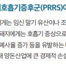 제이비네이처 이미지