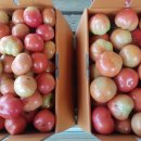 태규농장 이미지