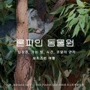 웜벳동물병원 | 론파인 동물원 호주 브리즈번 코알라 생츄어리 보호구역 캥거루 먹이주기 : 입장권부터 가는 법까지