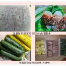 최인숙 농장 Daum카페