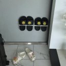 보헤미안 애월 이미지