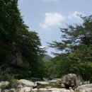 대야산자연휴양림 이미지