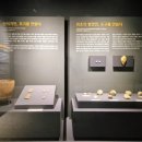 함안외암리공룡발자국 화석 이미지