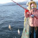 화이트하우스(솔비치) 이미지