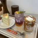 가정로(유성-9) | [대전/유성구/신성동/맛집/카페] 주택개조 감성카페🌿마릇