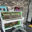 피아노악기랜드 | [경기 안성/평택] 경기안성뮤직플랫폼 이용 방법 &amp; 투명 피아노 연주 후기 (평택 악기 대여 정보)