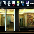 정겨운동물병원 이미지