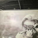 박경리 뮤지엄 이미지