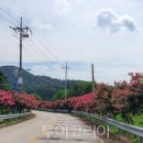 군도7호 이미지