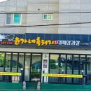 돼지3남매 이미지