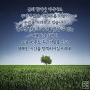 일등석유 - 제주시 | 일등석유