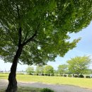 조정경기장 화장실 | 미사리 조정경기장 하남 미사 경정공원 주말 나들이 후기 (화장실, 매점 위치)