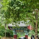 파랑새2 | 공주 당일치기 여행 2 / 천년고찰 마곡사 / 파랑새투어 후기