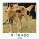 진도개영농조합 네이버블로그