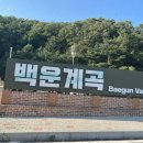 리틀 포레스트 키즈 풀빌라 이미지
