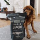 더펫갤러리아타임월드점 네이버블로그
