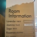 백순이 숯불갈비 | 강원도 홍천 클럽모우CC 라운드 후기 홍천 맛집