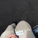 いつの日か粉になって知るだけ、青春の儚さを