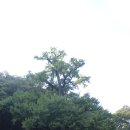 보석사로 이미지