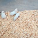 노원-상계-2276 이미지