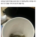 새우집우리집 이미지